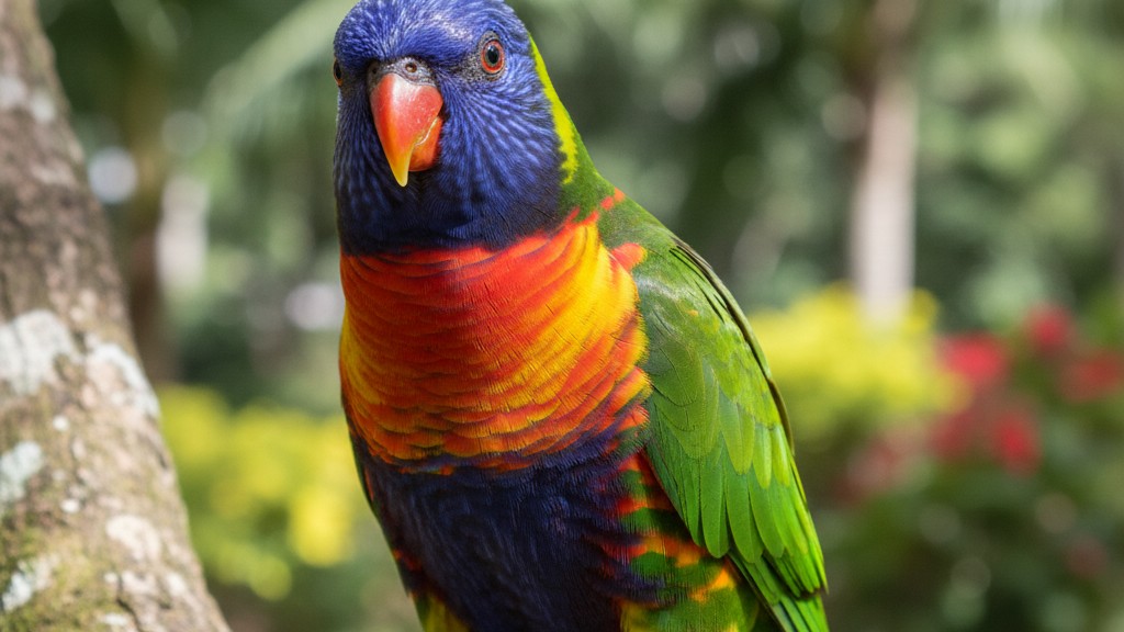 Perro Arcoiris