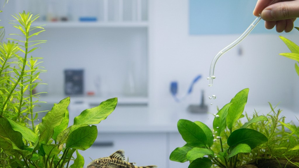 Soins et santé préventive de l'Otocinclus