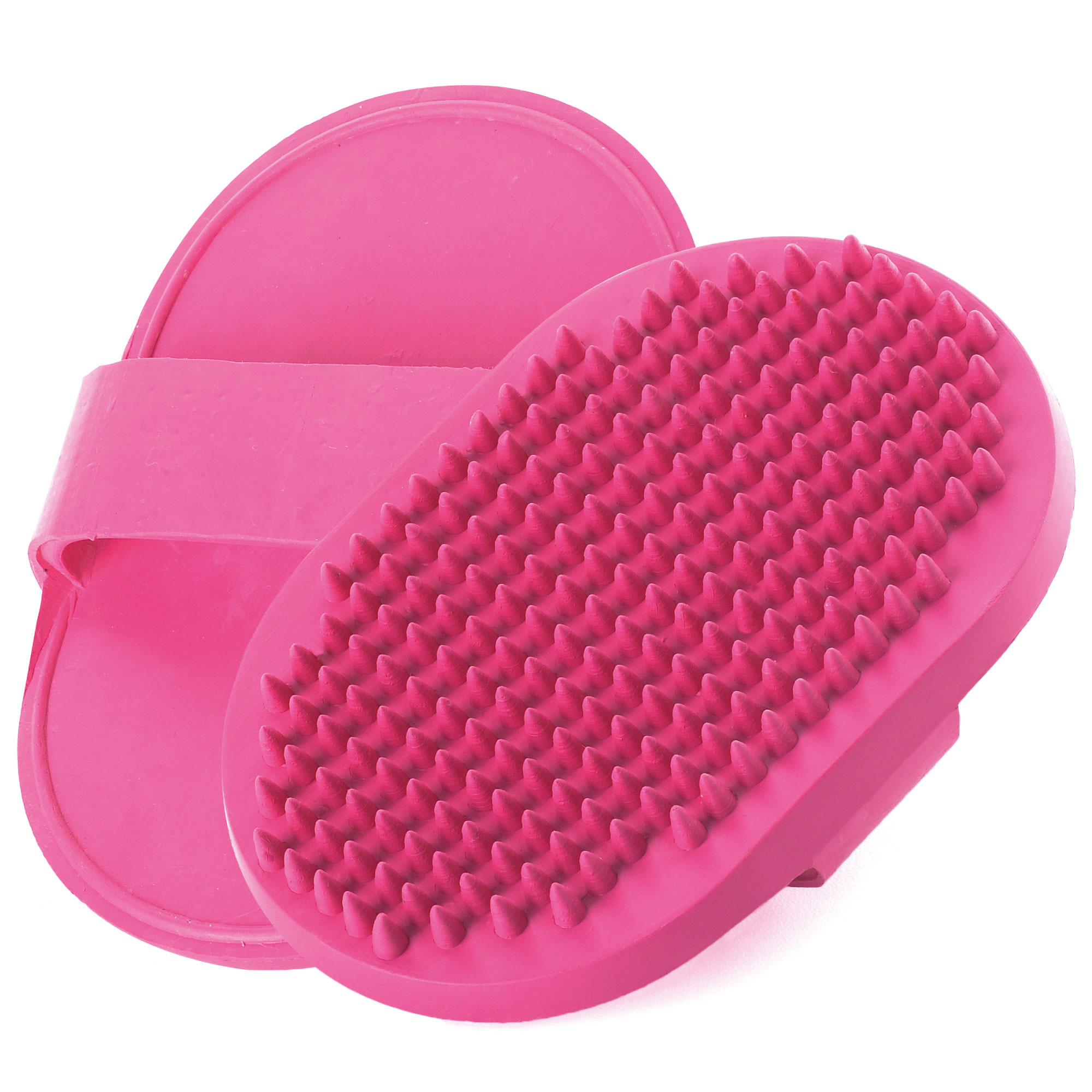 Manopla ovale en caoutchouc Moly | Brosse en gomme pour chiens et chats | Élimine les poils morts et masse la peau