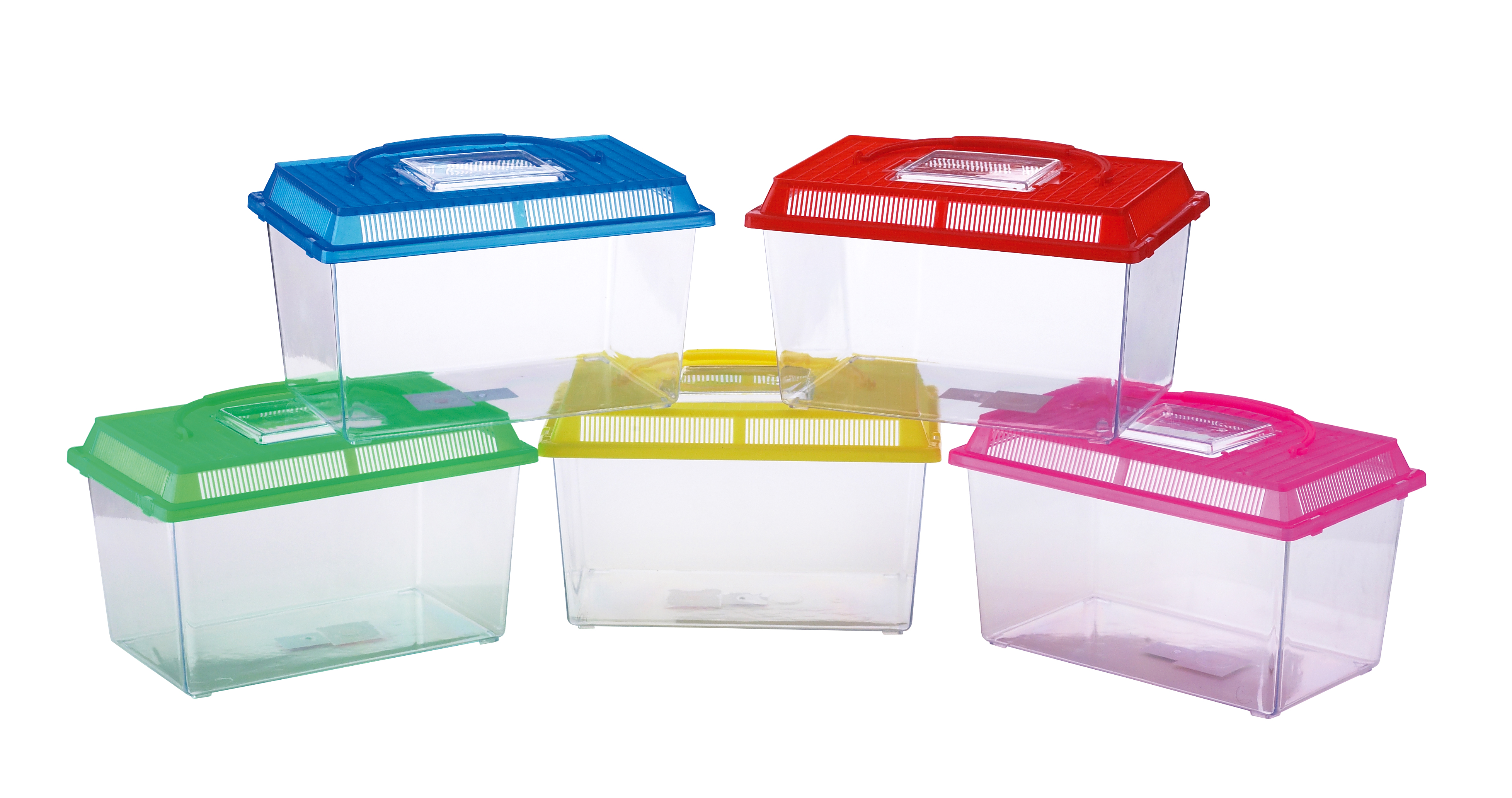 Aquarium en plastique MOLY petit 18 x 11 x 14 cm avec couvercle et poignée | Aquarium portable pour poissons d'ornement