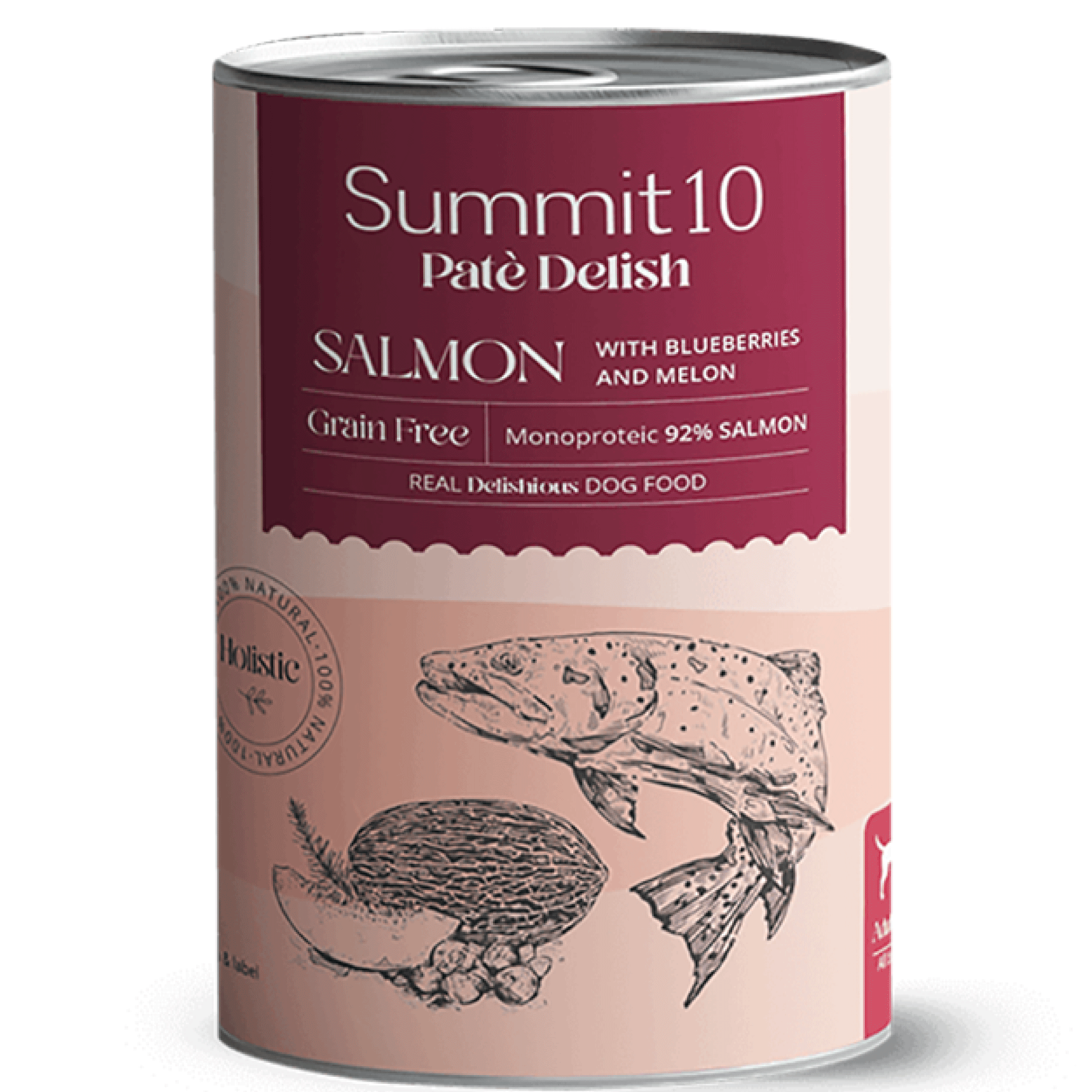 SUMMIT 10 Paté Delish Saumon Grain Free 400 g | Aliment humide monoprotéique pour chiens adultes