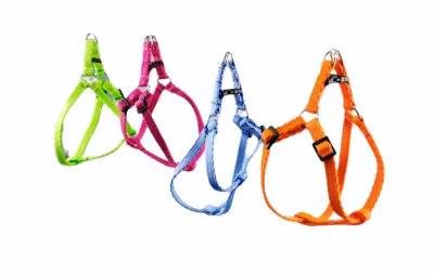 Harnais avec laisse fluor 1,3 couleurs