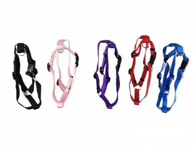 Harnais nylon lisse 50-70 cm x 2 cm