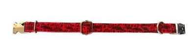 Collier Casitas Rouges T-3 30-40x1,5 cm