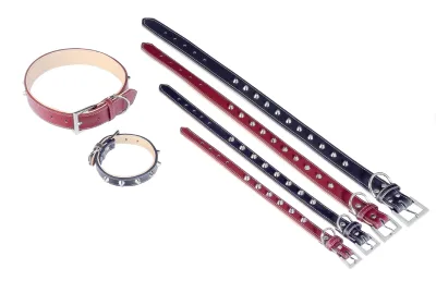Collier cuir Forniture 1.5x35 cm