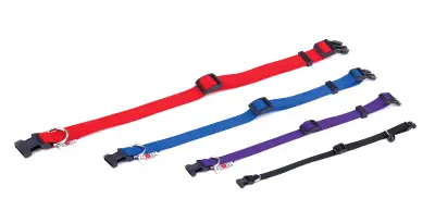 Collier Nylon Lisse Ajustable 35-55 cm x 2 cm Bleu