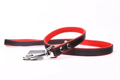 Laisse en cuir Luxury 120 cm