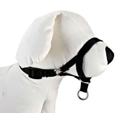 Muselière DOG CONTROL N.2 28 cm