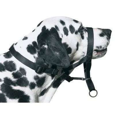Museruola DOG CONTROL N.7 Boxer 54cm