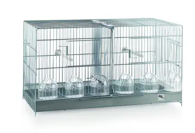 Cage de reproduction Guillot 60 cm