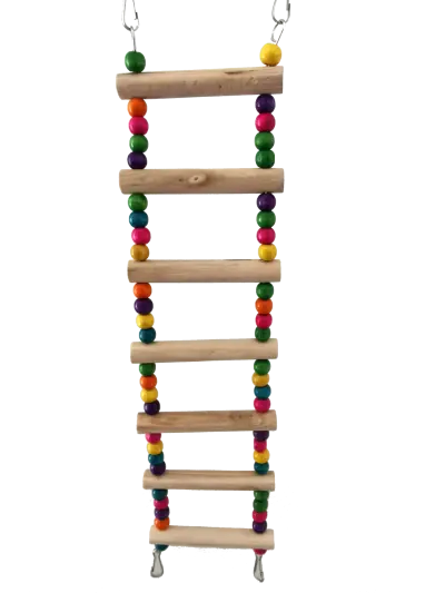 Jouet interactif échelle passerelle en bois coloré 10x46 cm