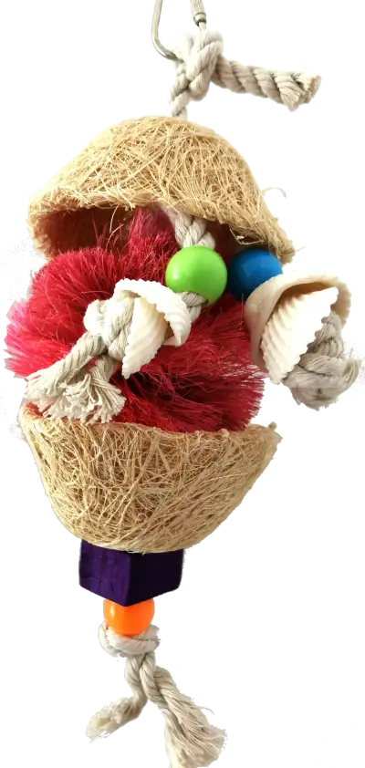 Jouet interactif fibres naturelles - coquillages 15x9
