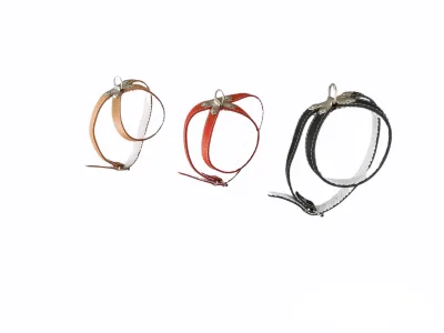 Harnais en cuir avec boucle 25 cm