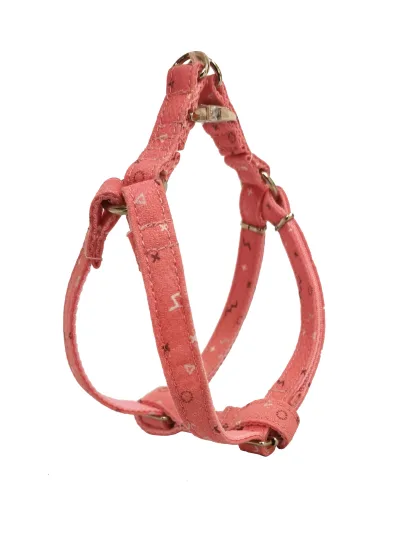 Harnais Moly Salmon T-5 40-50*2 pour chiens