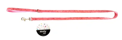 Laisse Moly Salmon T-2 120x2 cm