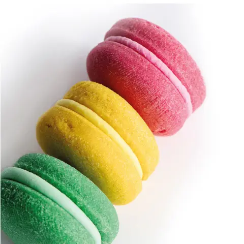 Macarons moelleux pour chiens en coffret premium