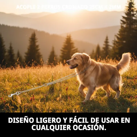 Acouple chromé fixé sur les laisses de petits chiens