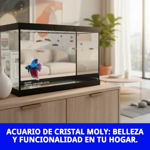 Lampe de l’aquarium cristal Moly 20 litres allumée
