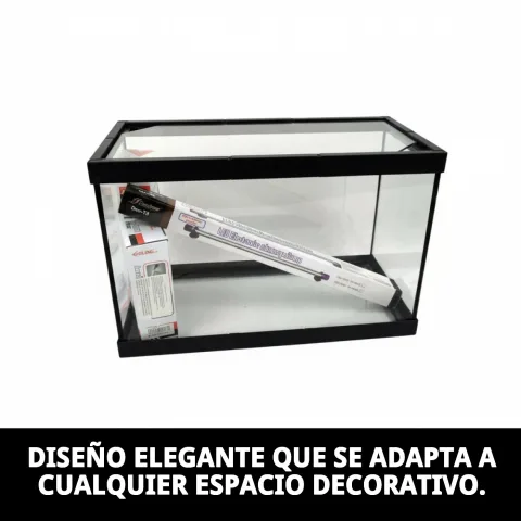 Aquarium cristal Moly 20 litres avec petits poissons à l’intérieur