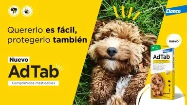 ADTAB OTC 225 MG boîte avec informations produit visibles