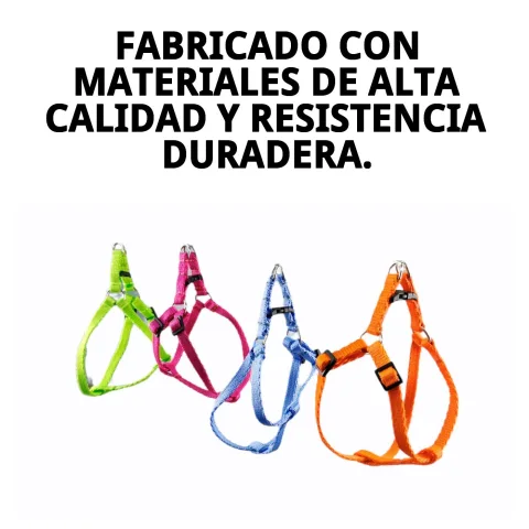 Laisses fluor résistantes et de longueur adaptée