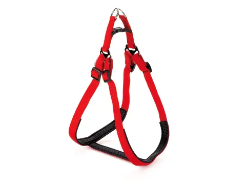 Harnais Nylon Confort Acolché 2,5 cm pour chiens – Sécurité et confort – Moly