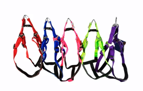 Harnais nylon confort 2cm