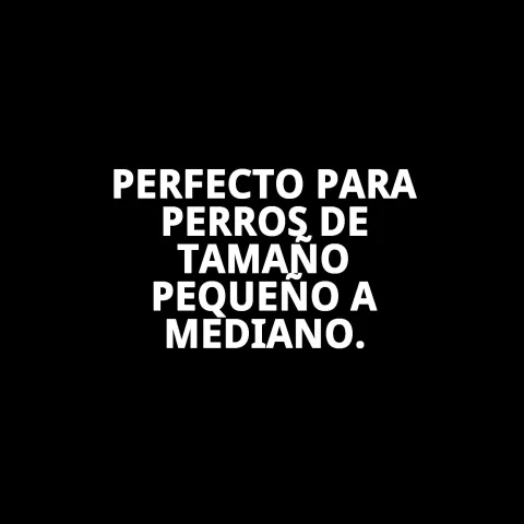 Harnais nylon flower au design ergonomique pour des promenades confortables