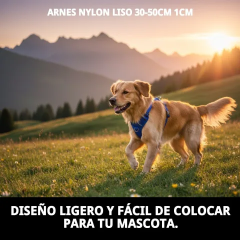 Harnais nylon lisse en plusieurs couleurs disponibles chez Compa Pattes