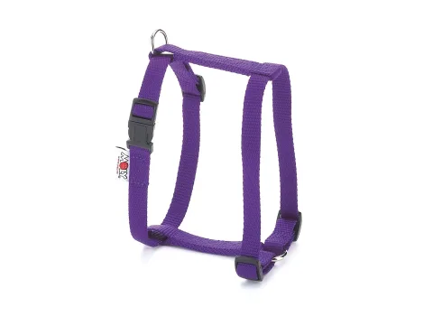 Chien avec harnais nylon lisse rouge lors d'une promenade urbaine