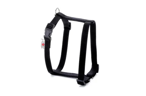 Chien avec harnais nylon lisse pour promenade confortable