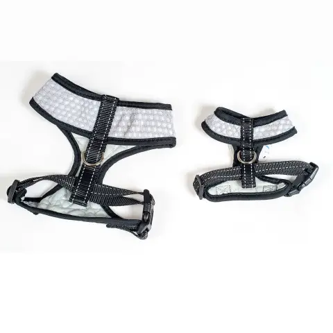 Chien portant le harnais nylon New Confort lors d'une promenade en extérieur