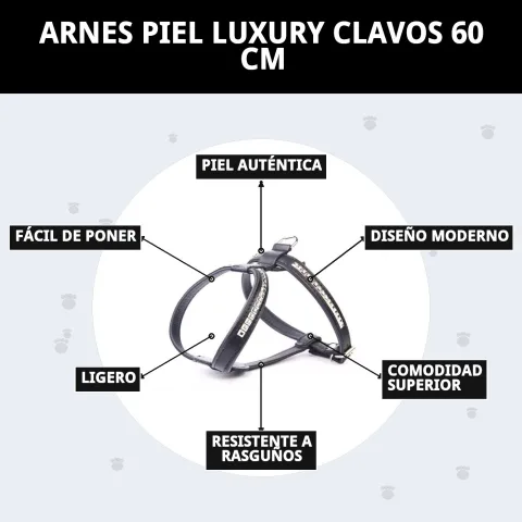 Harnais cuir luxury clous 60 cm dans son emballage Compa Pattes