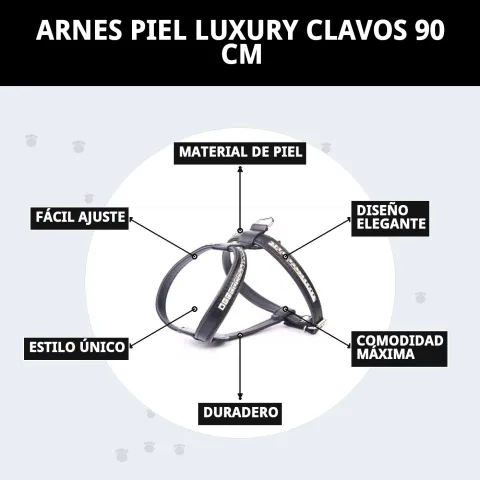 Harnais cuir luxury clous lors d'une promenade quotidienne