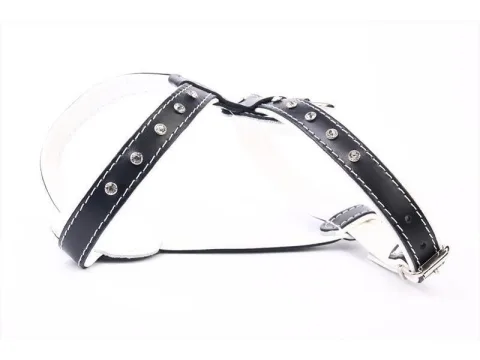 Détail cuir de haute qualité sur harnais luxury cristal