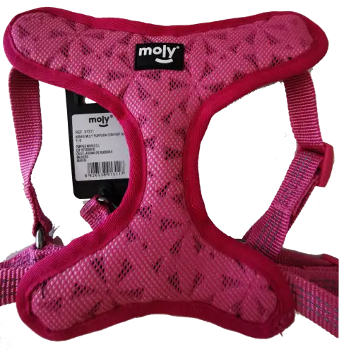 Petit chien portant le harnais violet confort New S en promenade