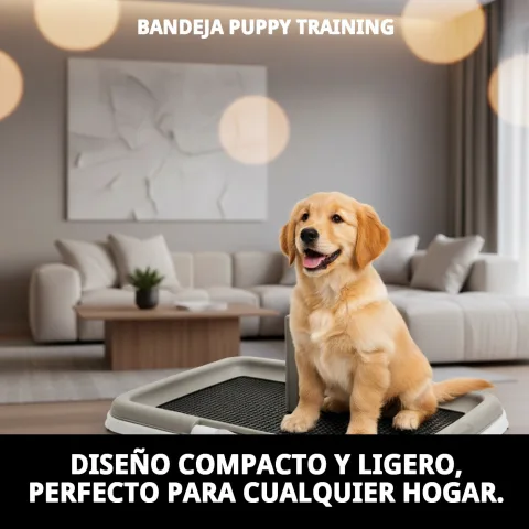 Nettoyage facile du bac Puppy Training à l eau