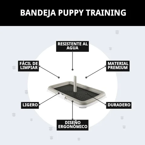 Emballage du bac Puppy Training prêt à être expédié