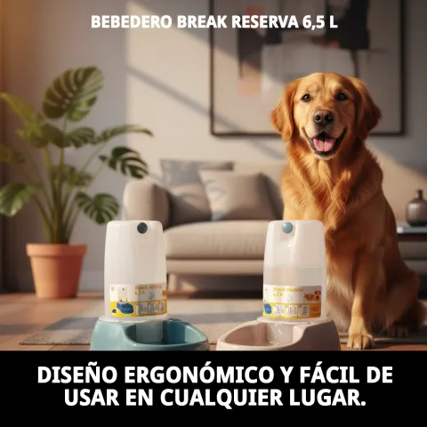 Nettoyage facile de l'abreuvoir Break Reserva pour chiens