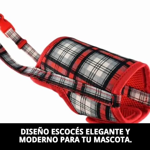 Chien portant la muserolle deluxe écossaise T-M lors d'une promenade