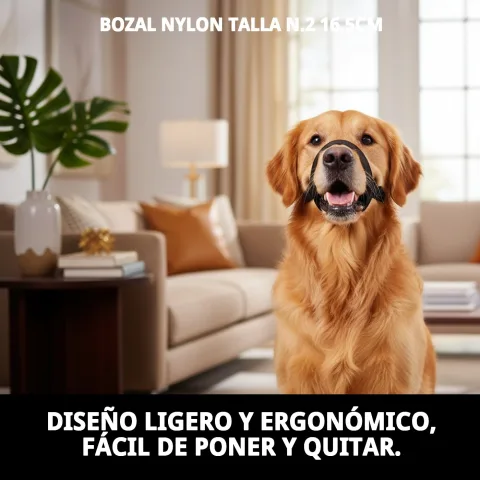 Chien avec museruola nylon en promenade urbaine