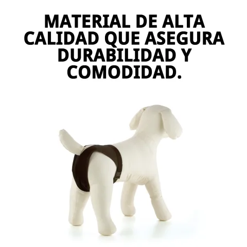 Ajustement de la braguita Slip Nylon Extra Nº5 sur un chien moyen