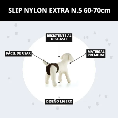 Braguita Slip Nylon Extra Nº5 lavable et facile à entretenir pour chiens