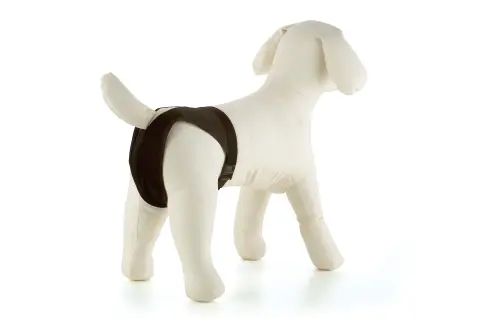 Culotte Slip Nylon Extra Nº4 (50–59 cm) | Confort et Résistance pour Chiens Moyens