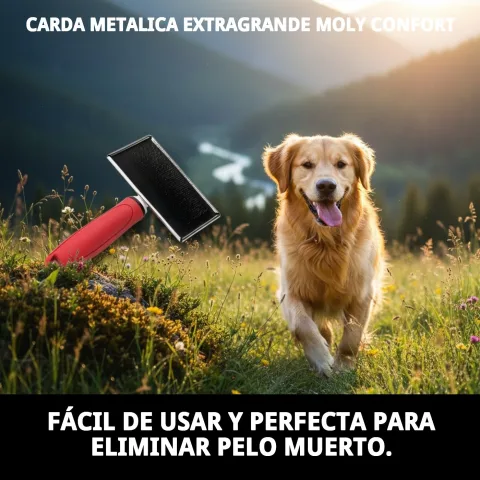 Carde Moly Confort brossant le pelage long d'un chien grand