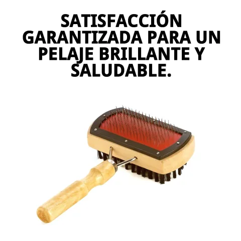Brosse Moly avec design ergonomique et écologique