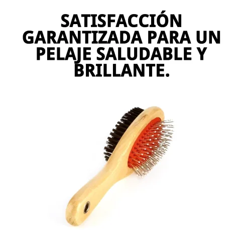 Comparaison des deux faces de la brosse pour fonctions différentes