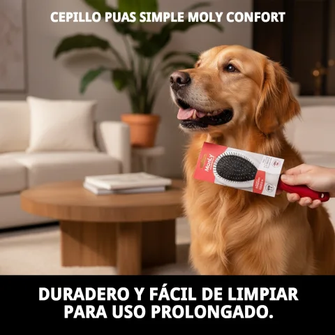 Brosse Simple Moly Confort utilisée sur un chat à pelage mi-long