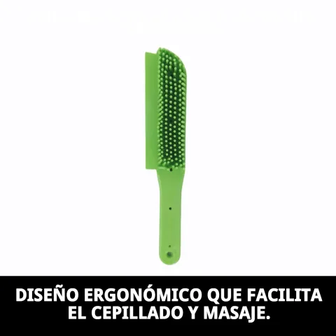 Brossage doux pour chiens atteints de dermite avec la brosse Moly