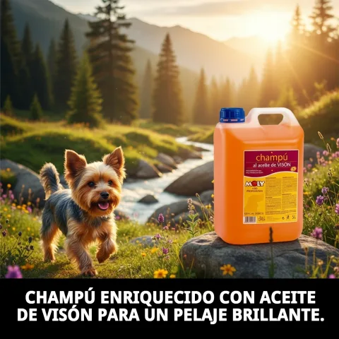 Flacon 5 litres de shampoing pour chiens Yorkshire Terrier